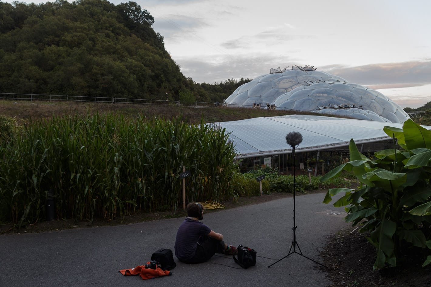recording the organism that is Eden Project in its moment of exhaling